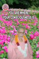 You Are Where Your Consciousness Is